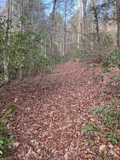 214 Gray Creek Road Graysville TN 37338