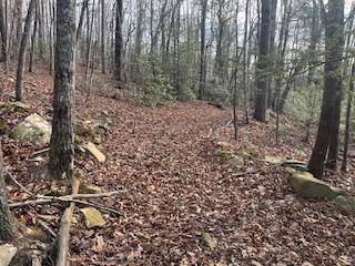 214 Gray Creek Road Graysville TN 37338