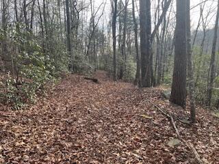 214 Gray Creek Road Graysville TN 37338