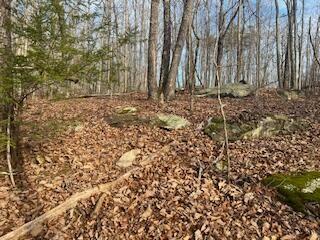 214 Gray Creek Road Graysville TN 37338