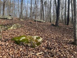 214 Gray Creek Road Graysville TN 37338