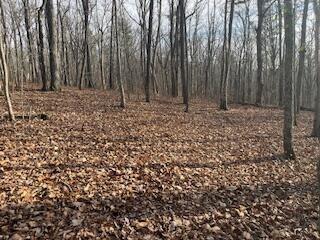 214 Gray Creek Road Graysville TN 37338