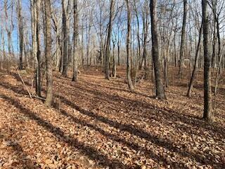 214 Gray Creek Road Graysville TN 37338