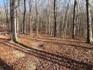 214 Gray Creek Road Graysville TN 37338