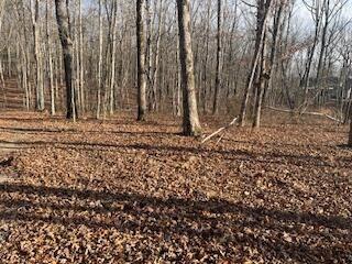 214 Gray Creek Road Graysville TN 37338