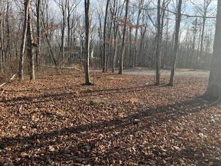 214 Gray Creek Road Graysville TN 37338