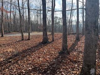214 Gray Creek Road Graysville TN 37338