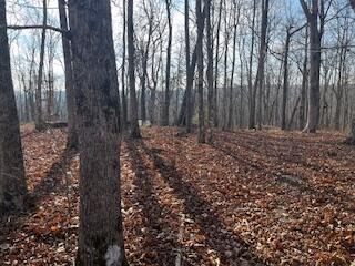 214 Gray Creek Road Graysville TN 37338