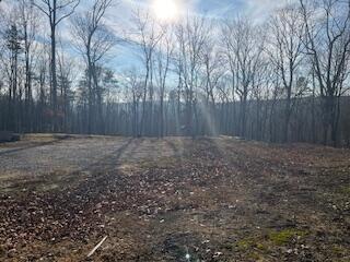 214 Gray Creek Road Graysville TN 37338