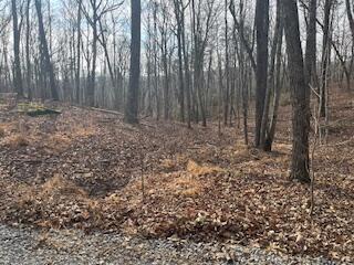 214 Gray Creek Road Graysville TN 37338