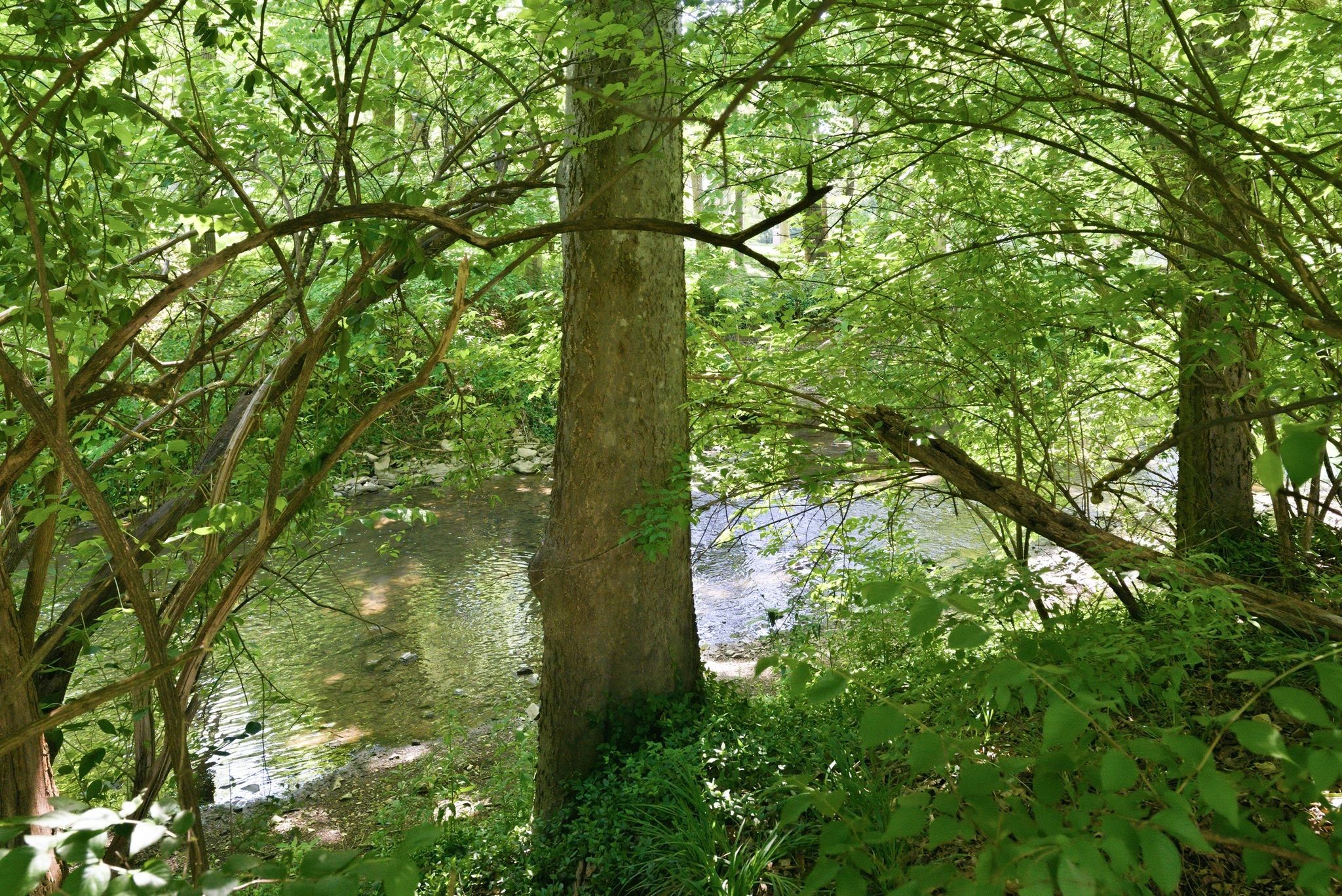 1909 Harpeth River Drive Brentwood TN 37027