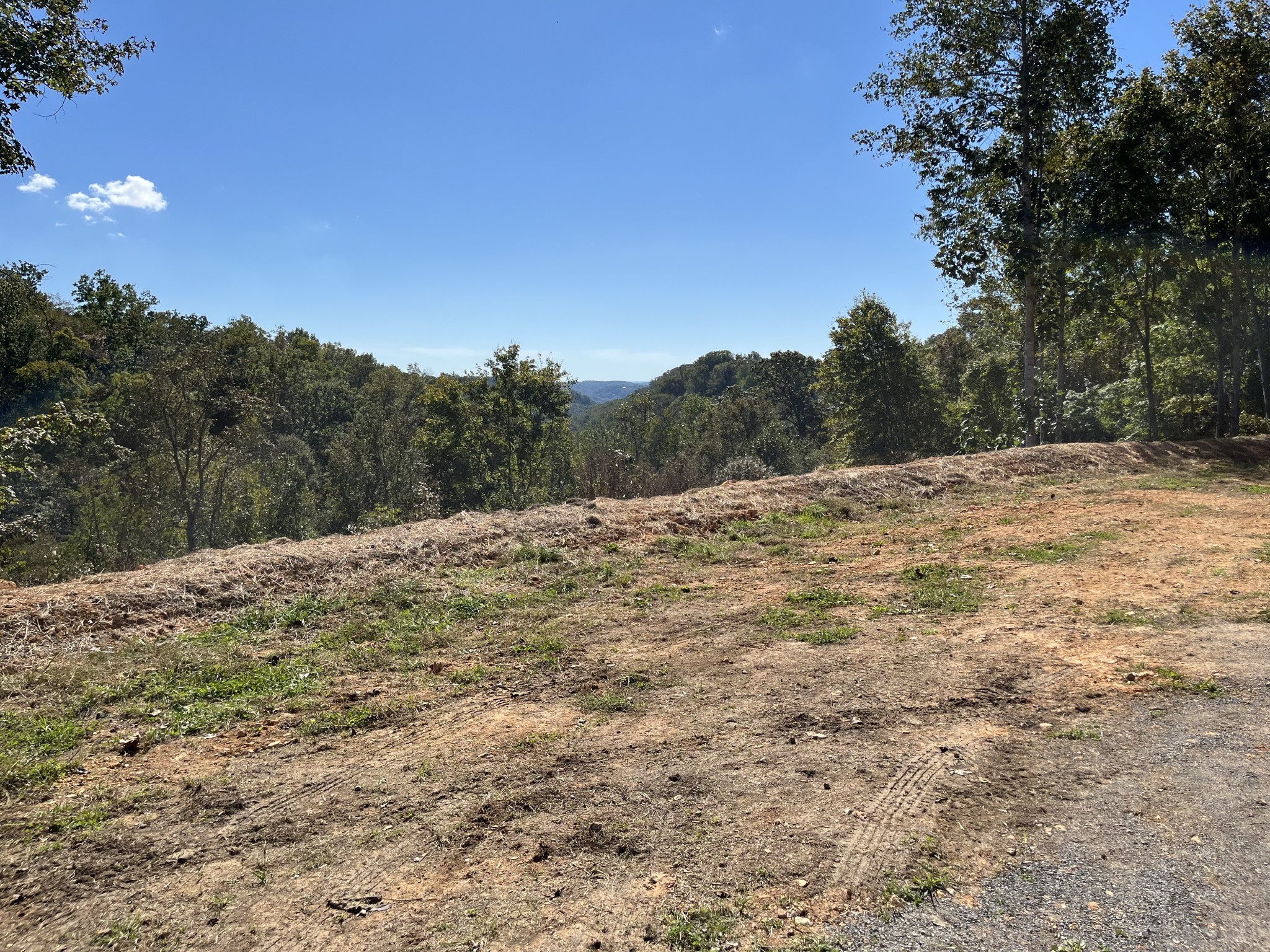 0 Highway 56 Silver Point TN 38582