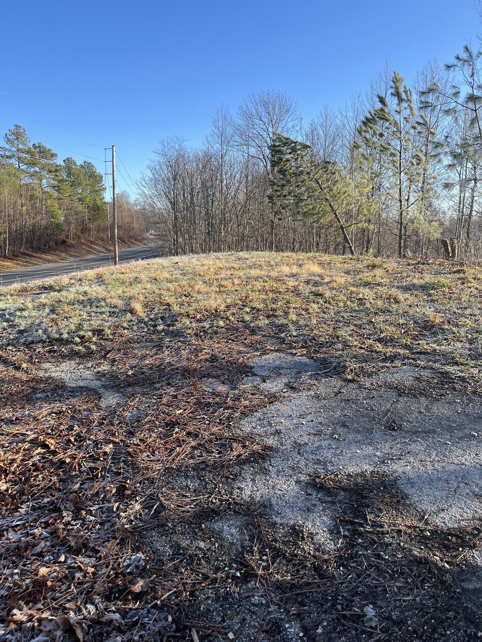 0 Highway 56 Silver Point TN 38582