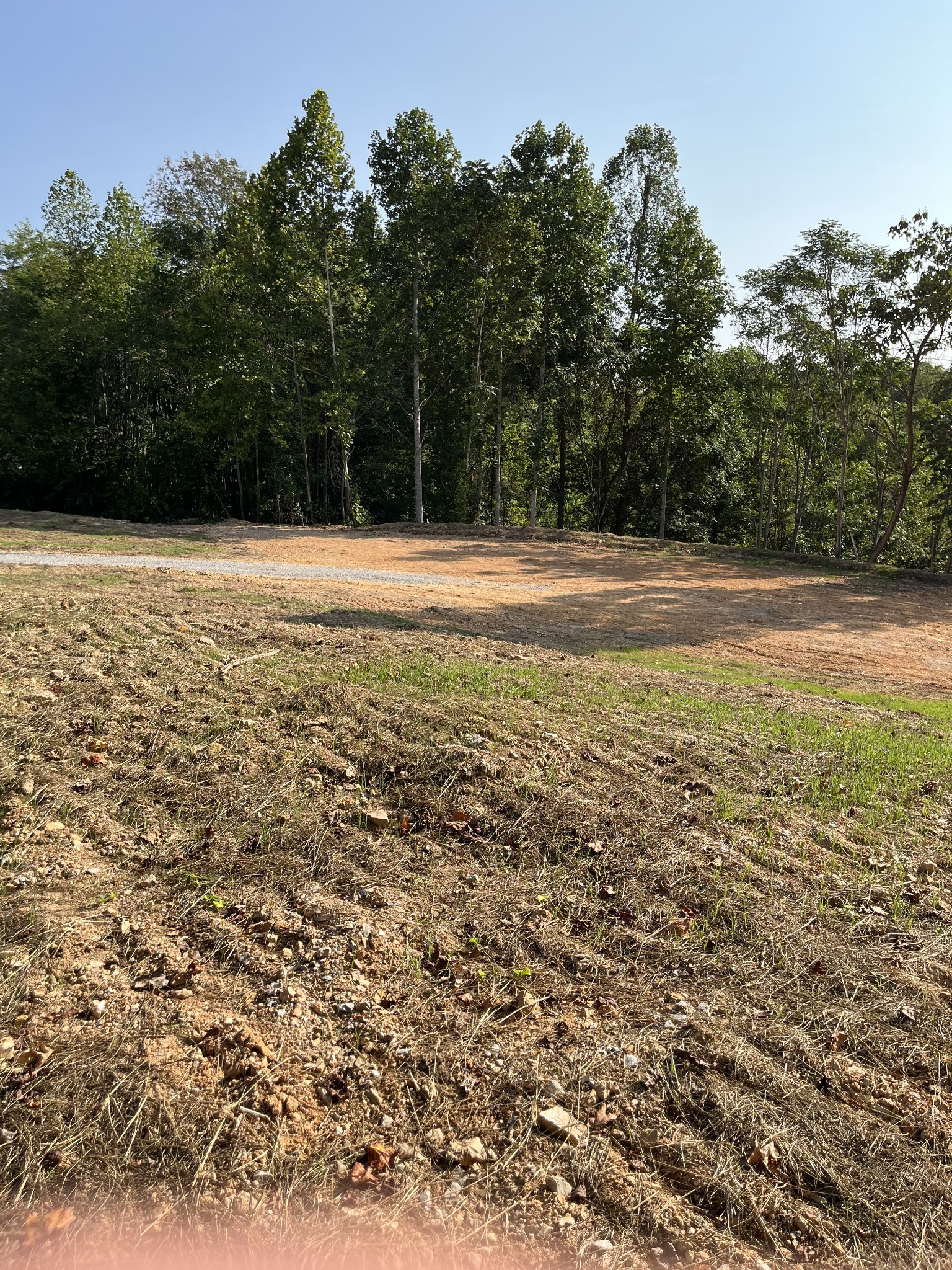 0 Highway 56 Silver Point TN 38582