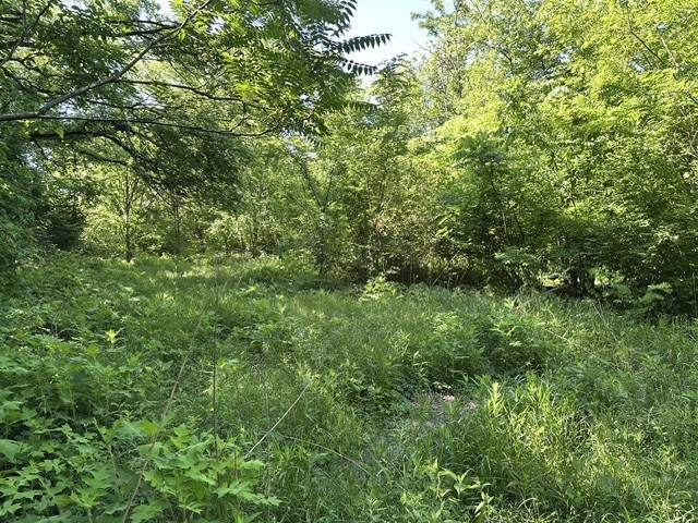 3561 SE Tater Peeler Road Lebanon TN 37090