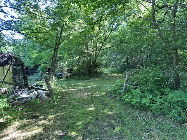 3561 SE Tater Peeler Road Lebanon TN 37090