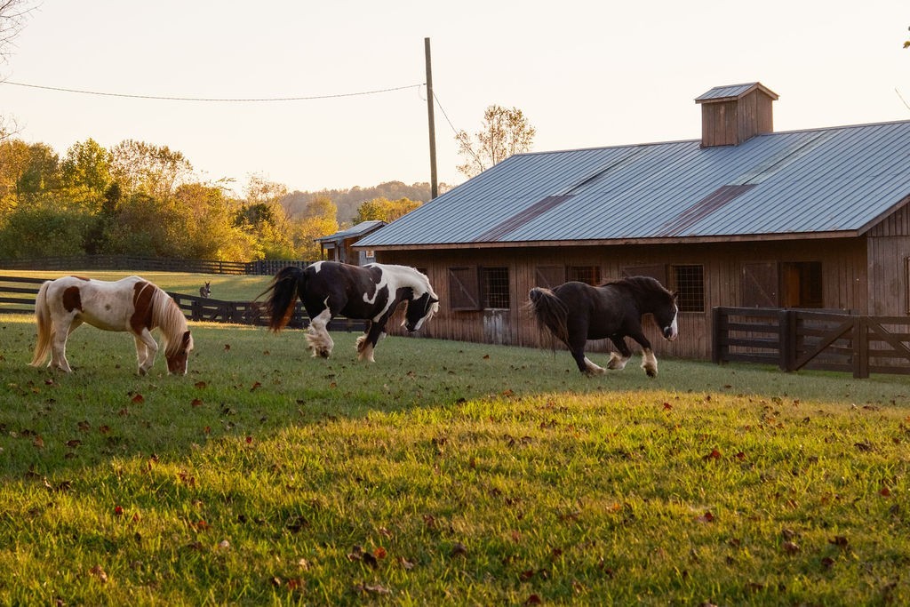5297 Old Harding Road Franklin TN 37064