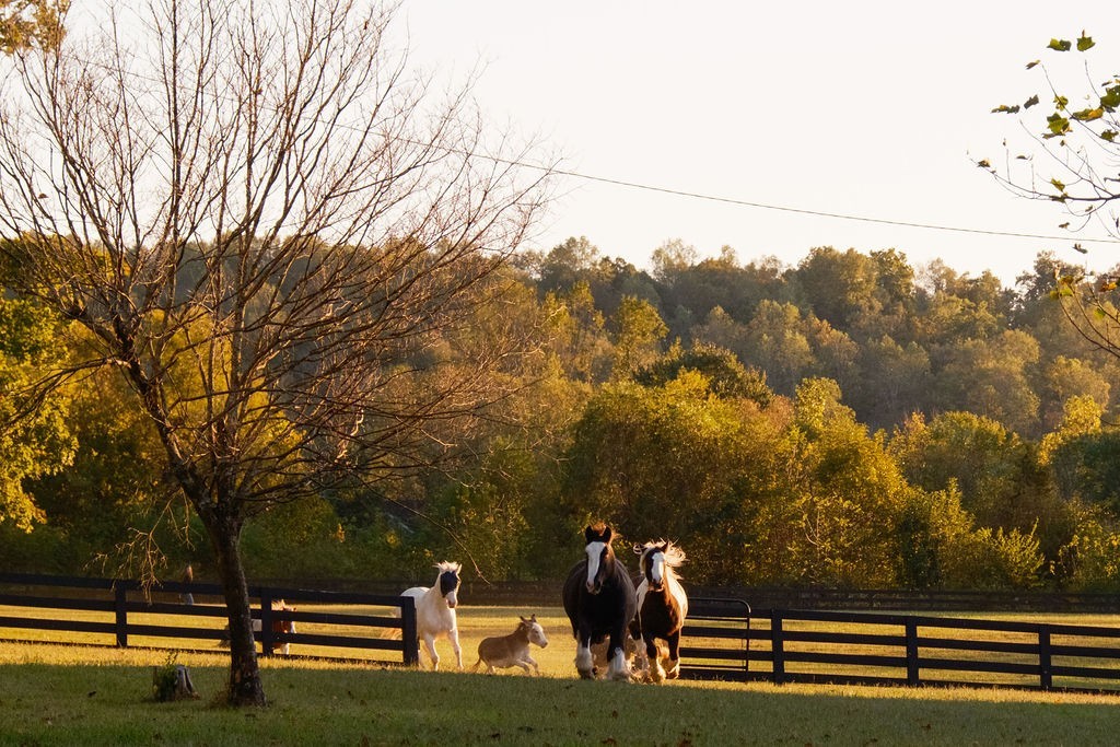5297 Old Harding Road Franklin TN 37064