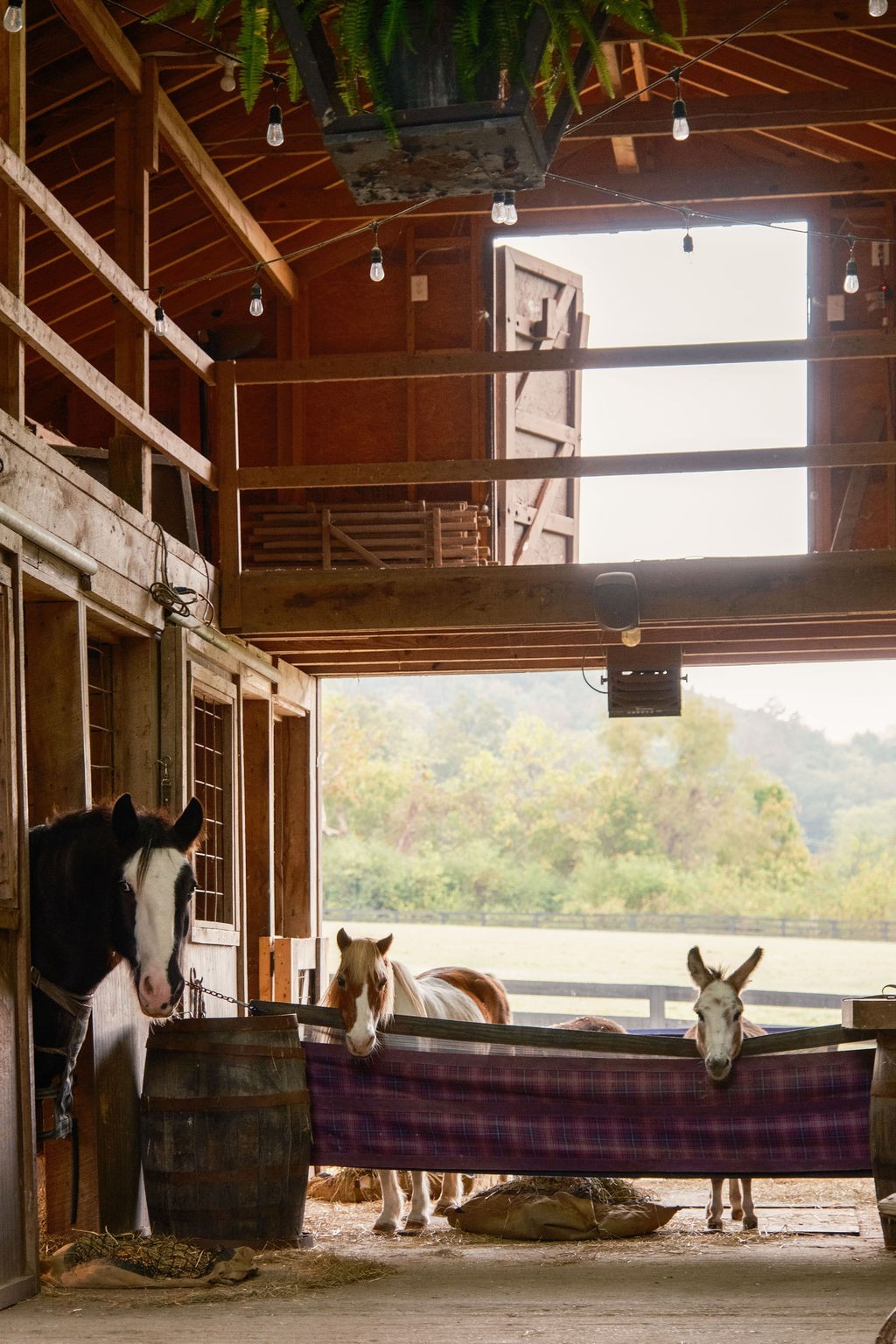 5297 Old Harding Road Franklin TN 37064