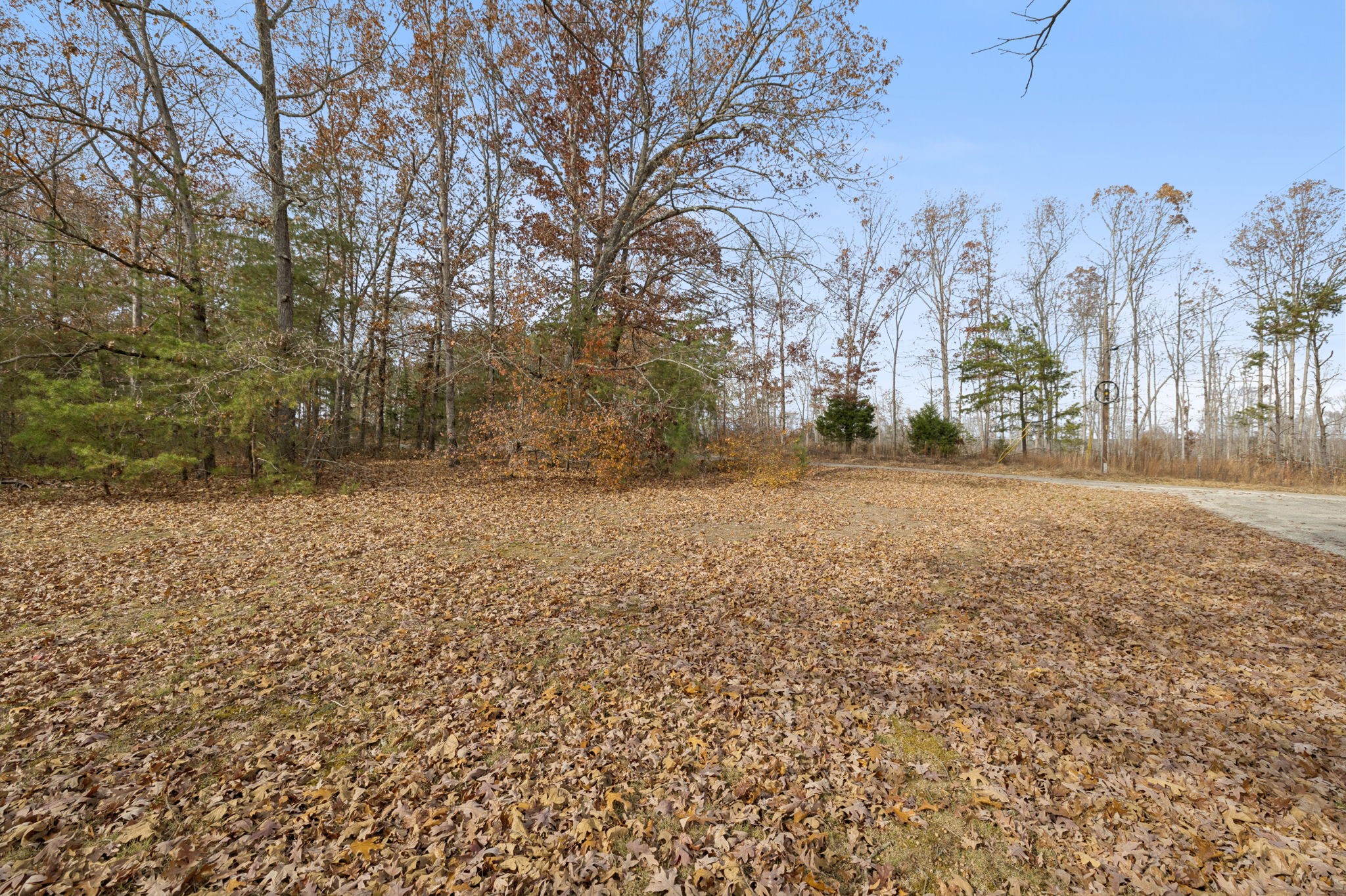 108 Lyell Road Hohenwald TN 38462