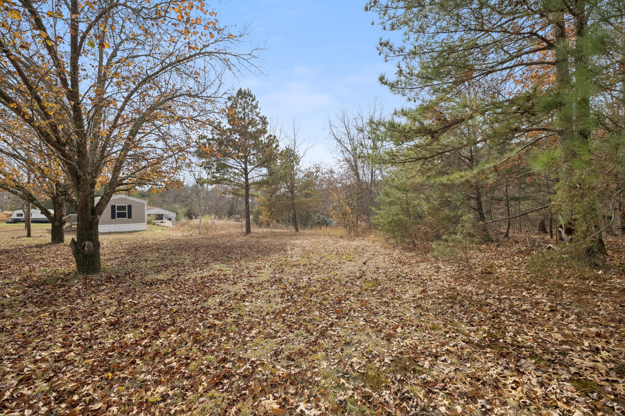 108 Lyell Road Hohenwald TN 38462