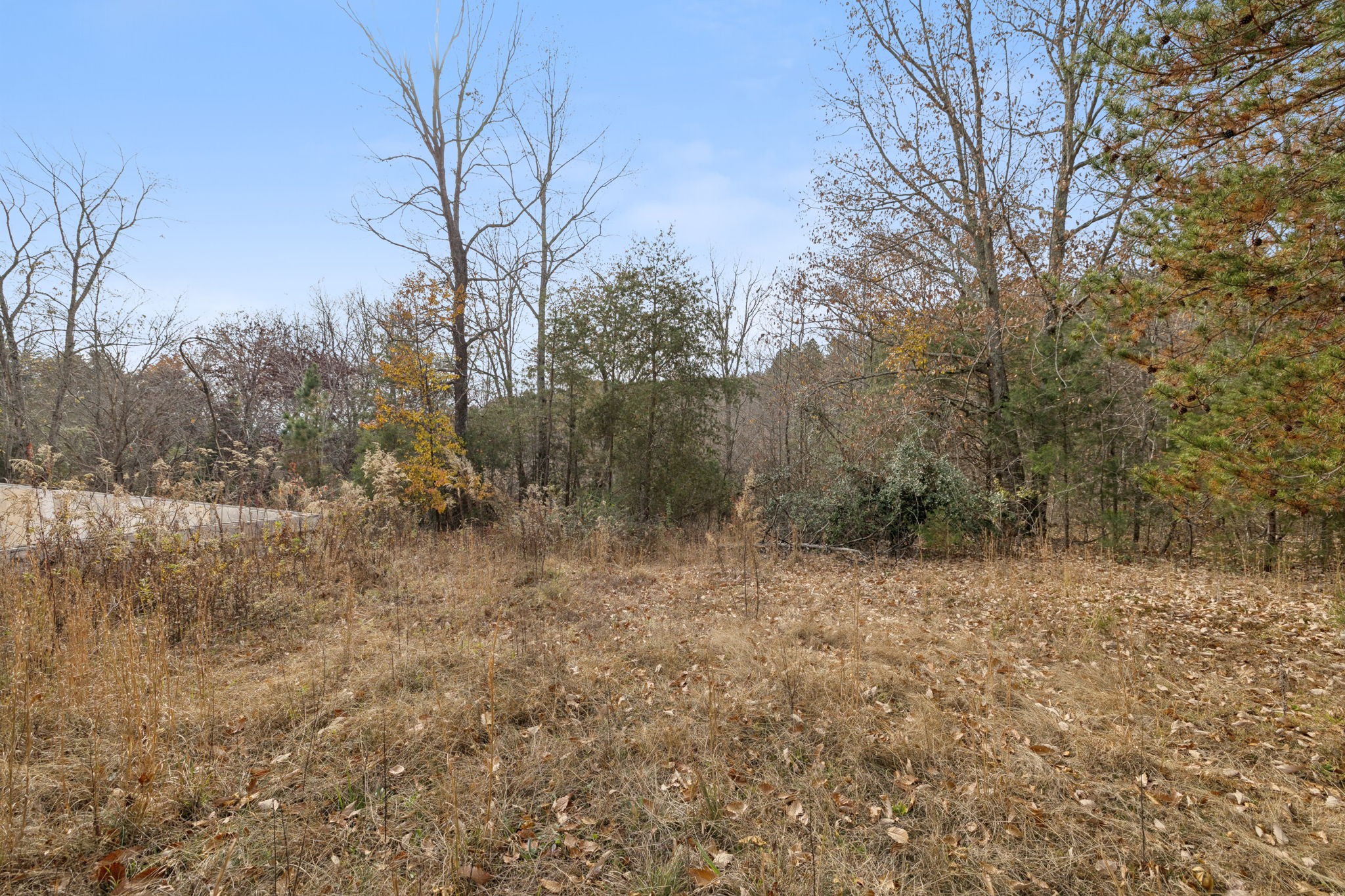 108 Lyell Road Hohenwald TN 38462