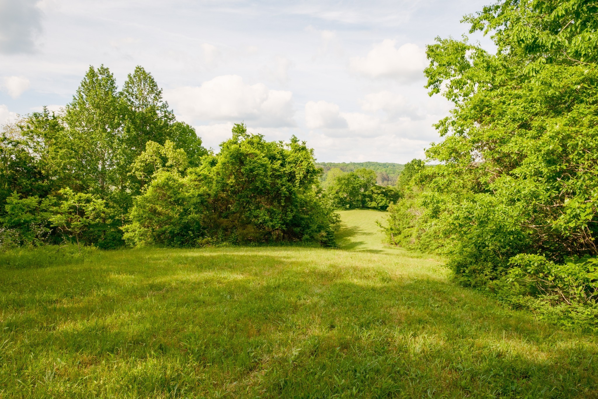5620 Leipers Creek Road Franklin TN 37064
