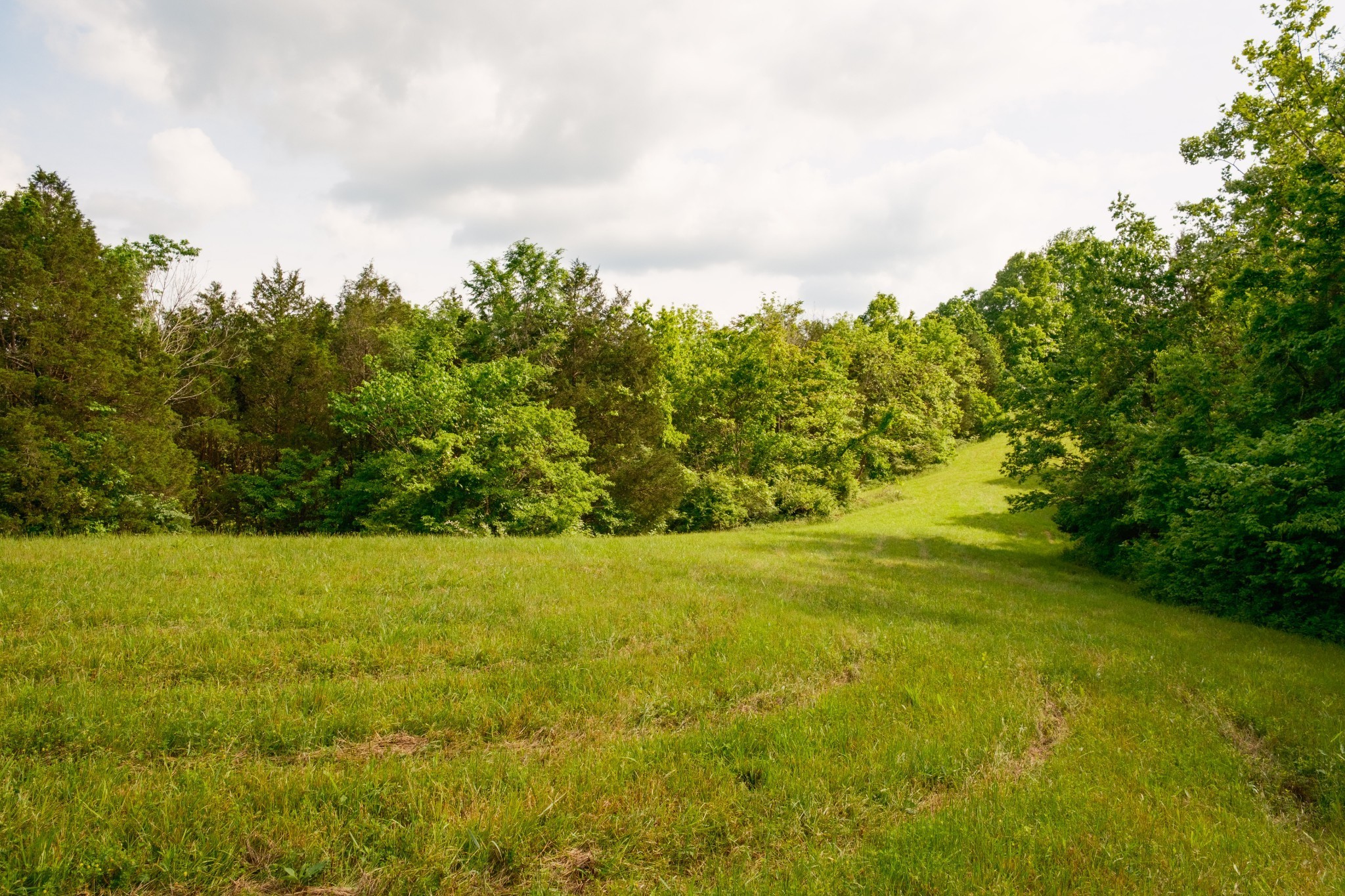 5620 Leipers Creek Road Franklin TN 37064