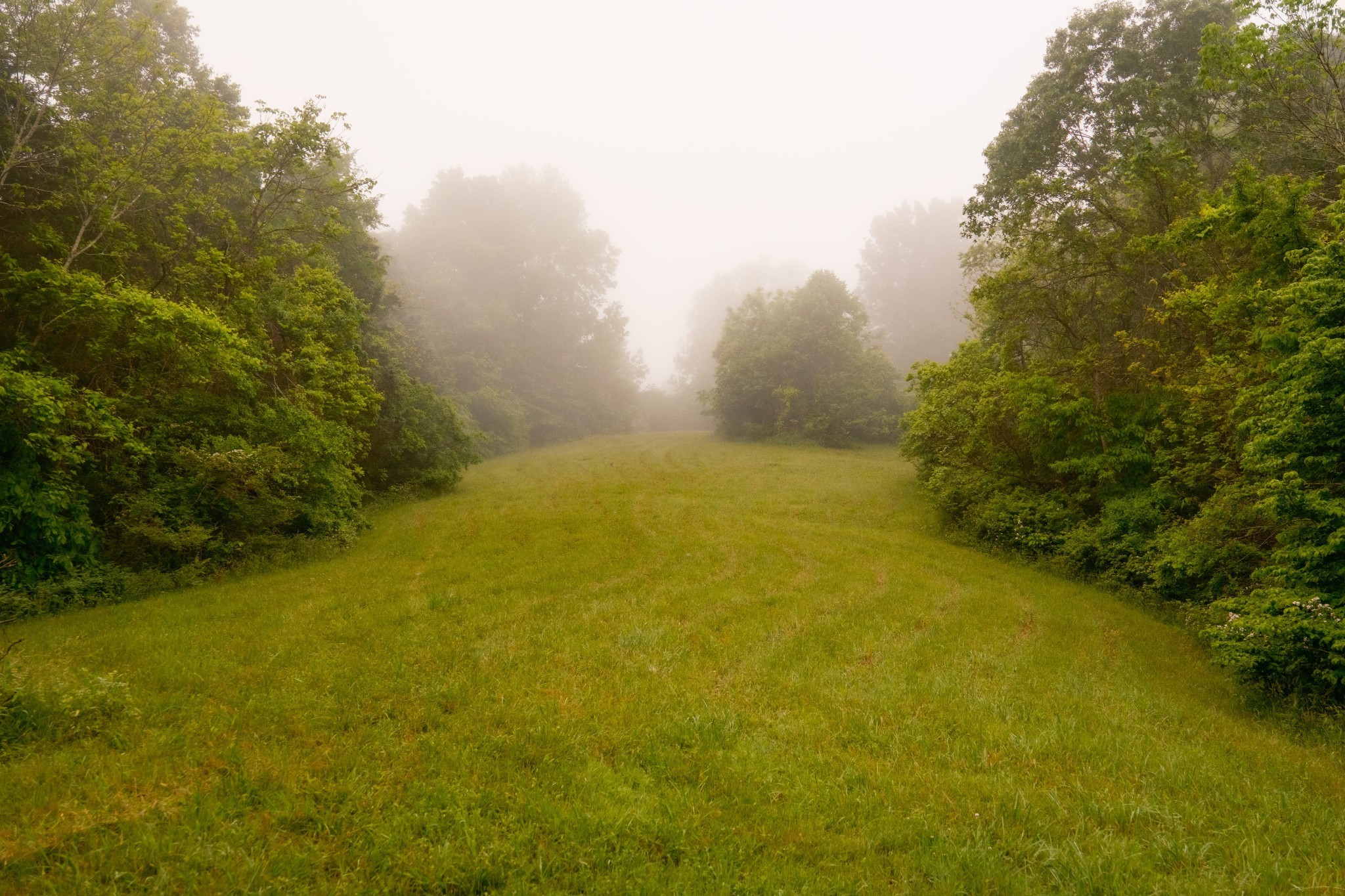 5620 Leipers Creek Road Franklin TN 37064