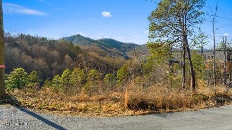 0 Sugar Maple Loop Lot #1 Road Sevierville TN 37862