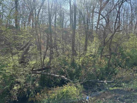 0 Crump Landing Road Crump TN 38327