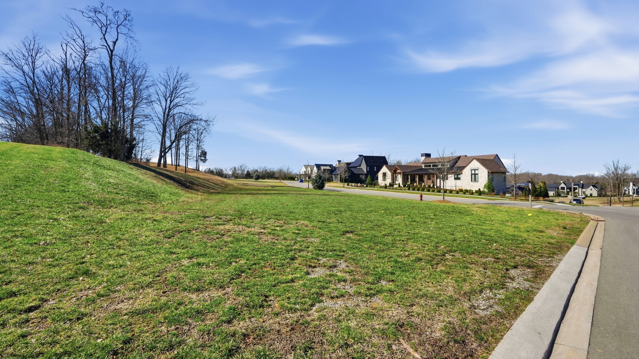 7100 Lanceleaf Drive College Grove TN 37046