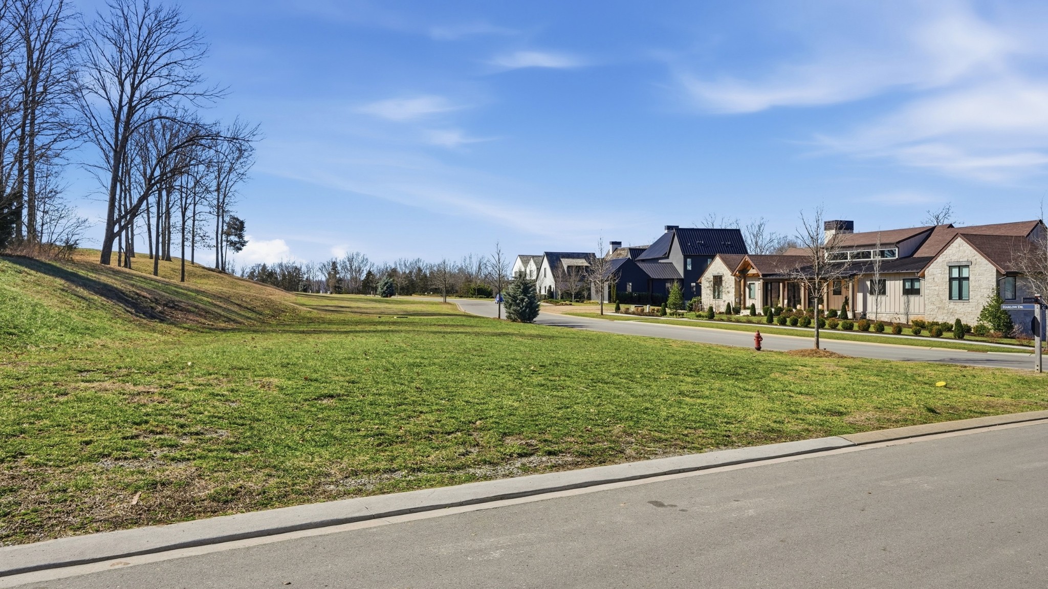 7100 Lanceleaf Drive College Grove TN 37046