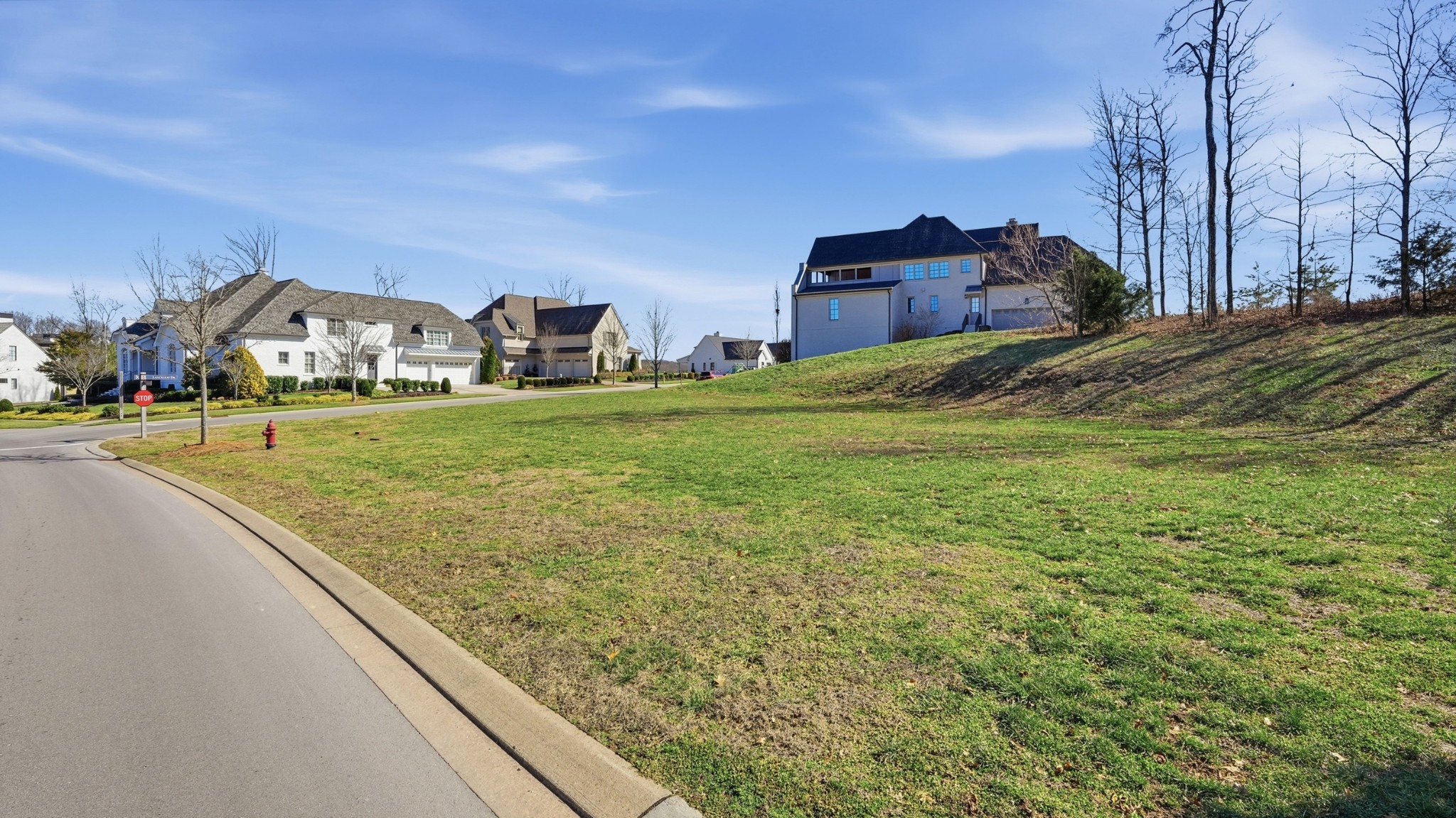 7100 Lanceleaf Drive College Grove TN 37046