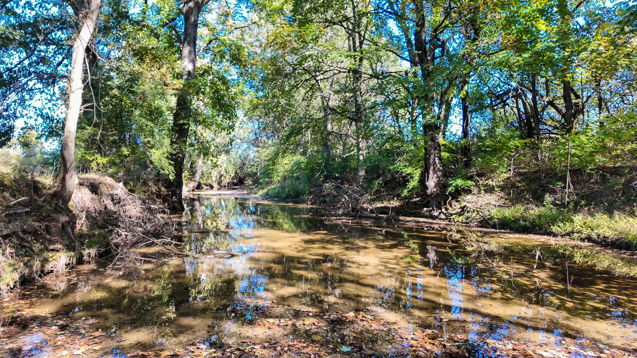 2865 Mccanless Road Nolensville TN 37135