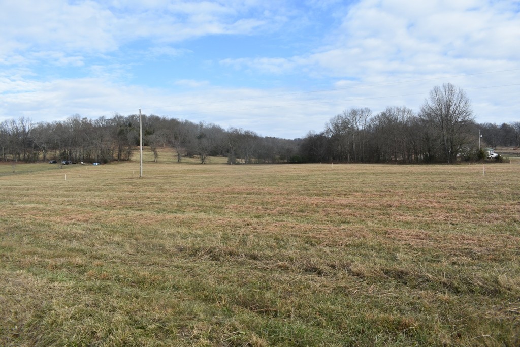 0 Salt Lick Creek Road Pleasant Shade TN 37145