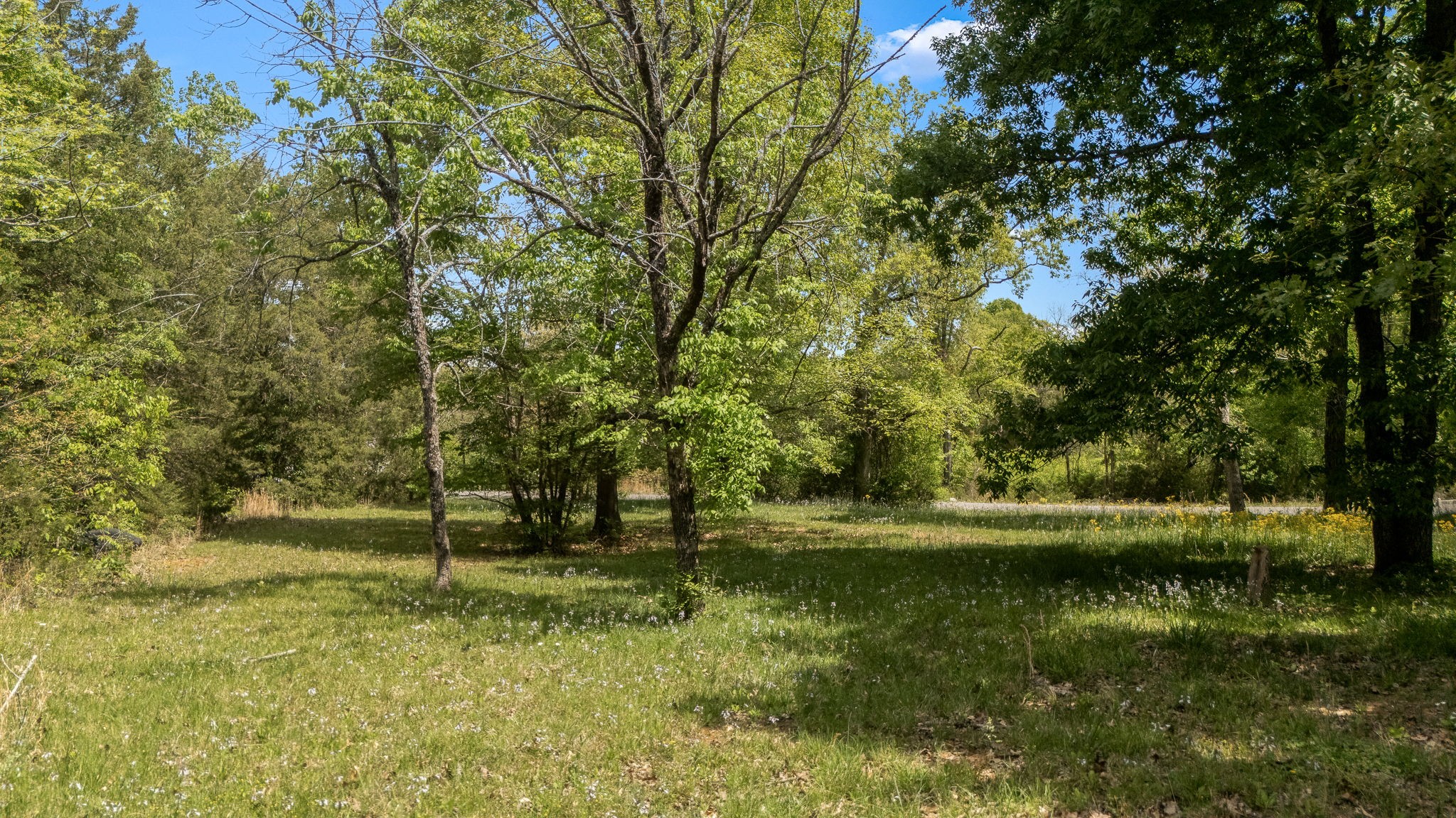 114 Glover Lane Shelbyville TN 37160