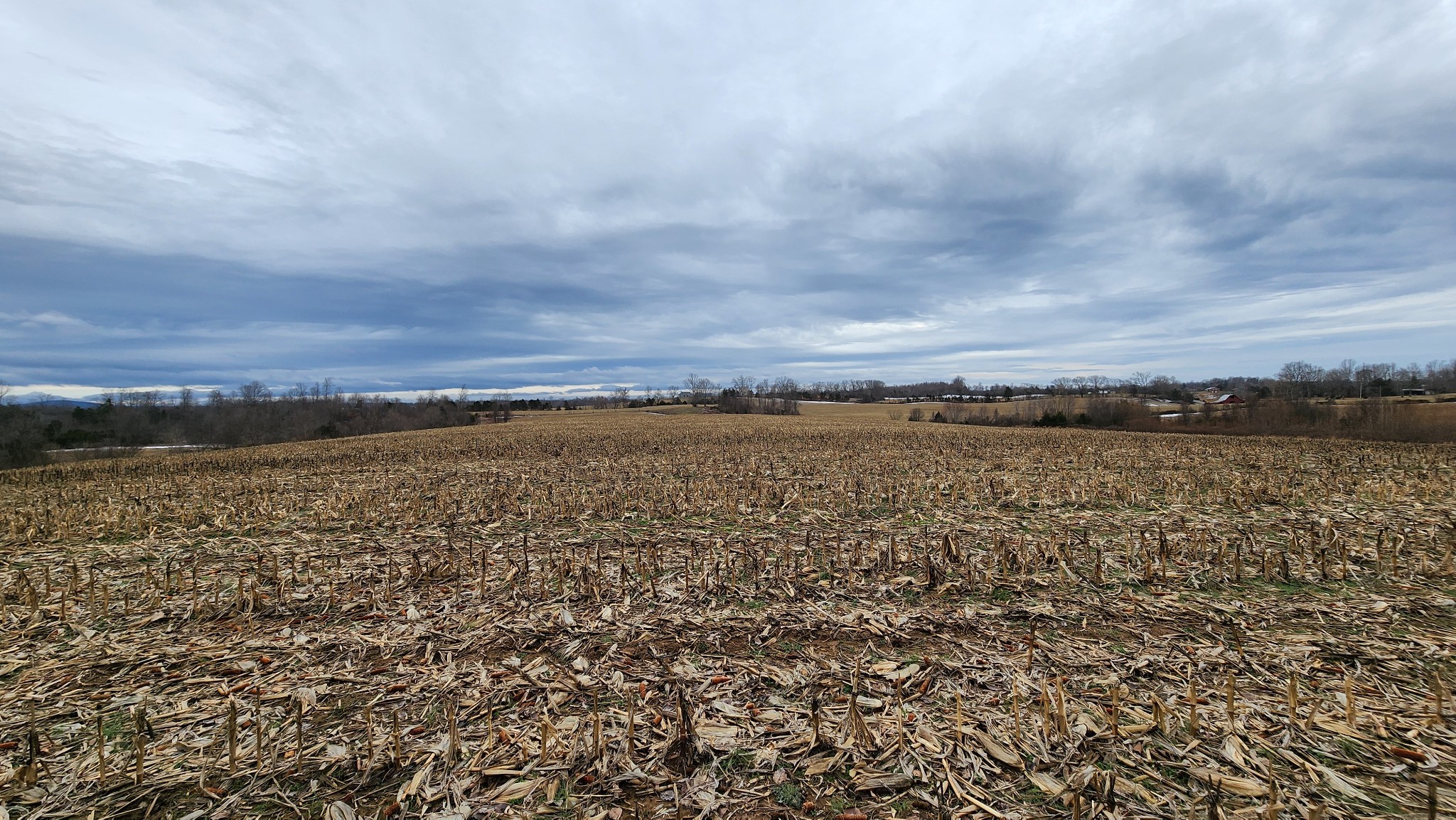 55 Indian Mound Road Sparta TN 38583