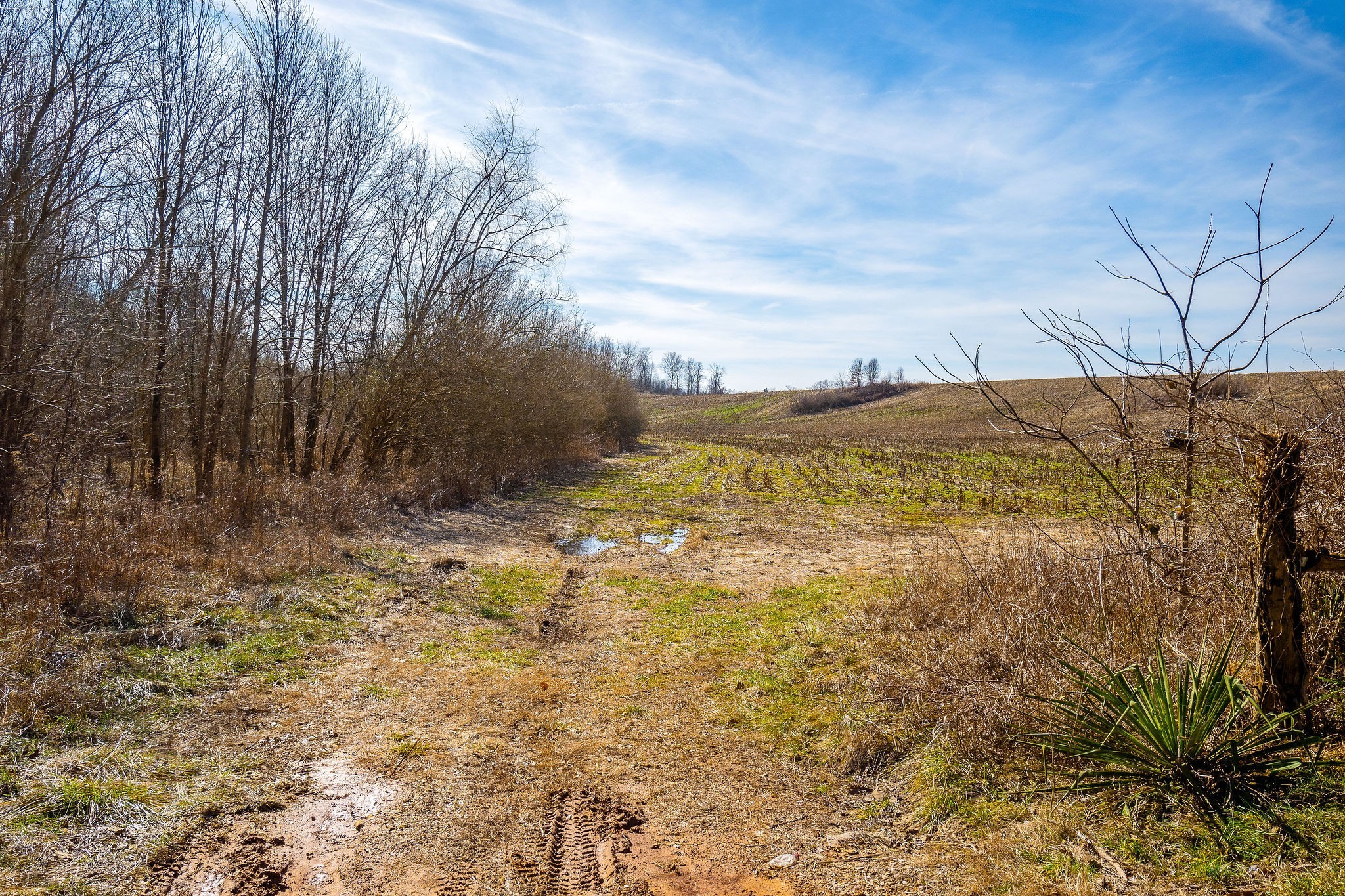 55 Indian Mound Road Sparta TN 38583