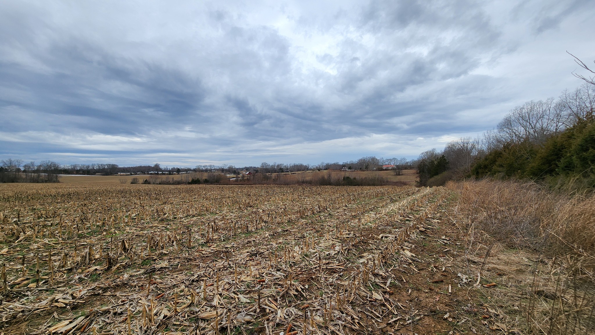 55 Indian Mound Road Sparta TN 38583