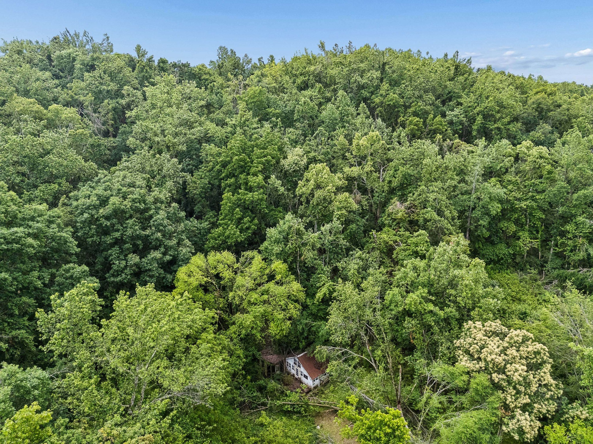8797 Highway 100 Nashville TN 37221