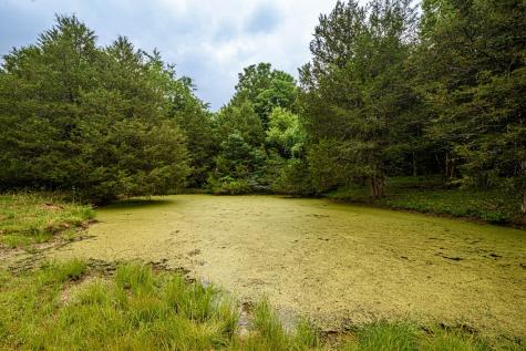657 Prospect Road Pulaski TN 38478