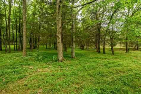 657 Prospect Road Pulaski TN 38478