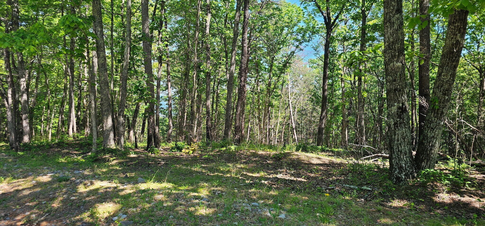 0 Bluffview Drive Dunlap TN 37327