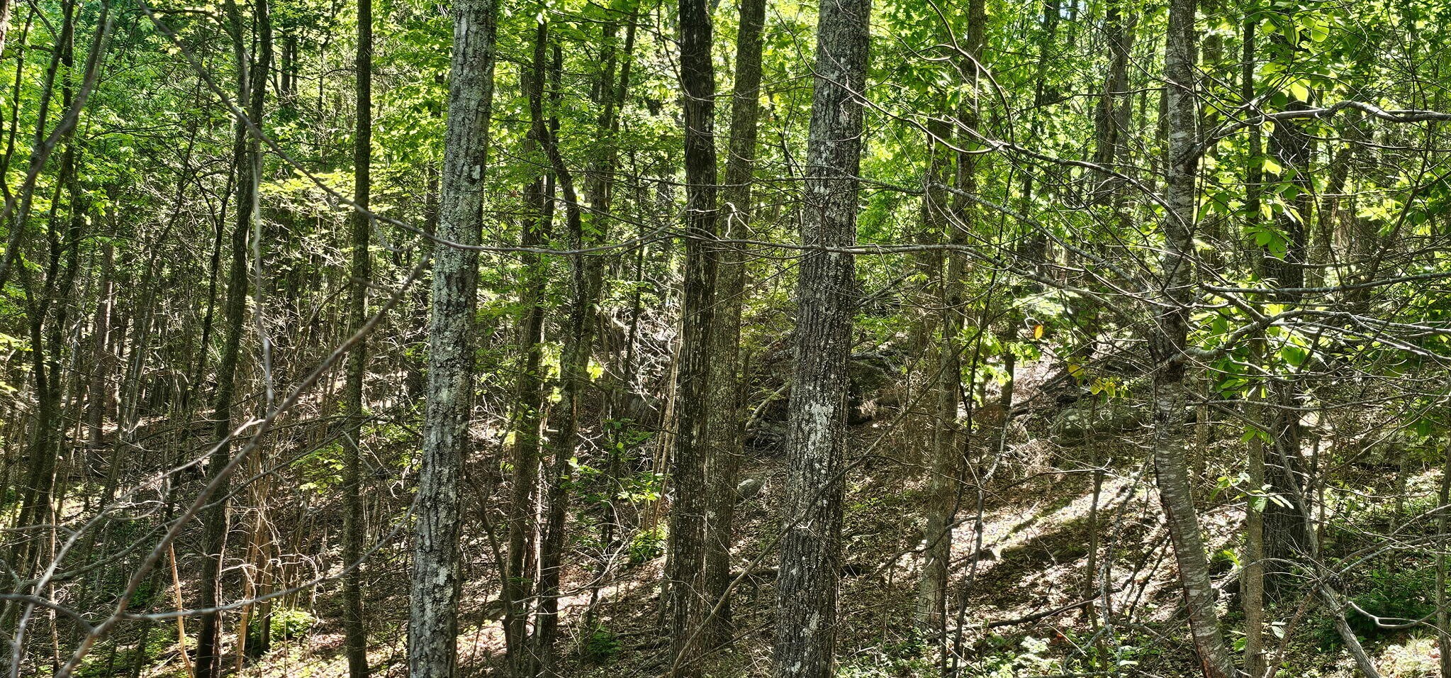 0 Bluffview Drive Dunlap TN 37327