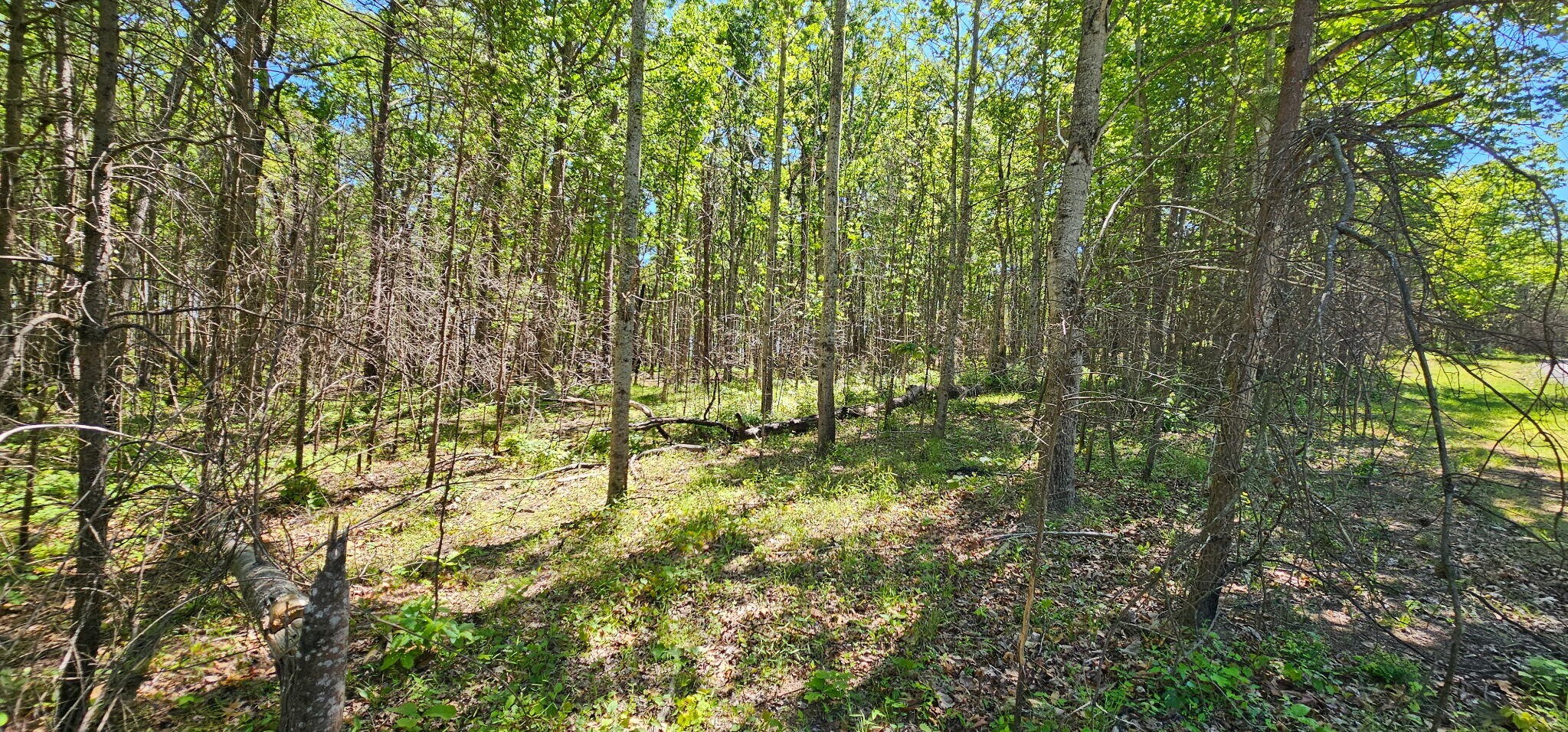 0 Bluffview Drive Dunlap TN 37327