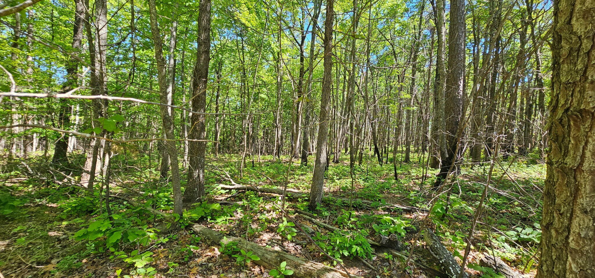 0 Bluffview Drive Dunlap TN 37327