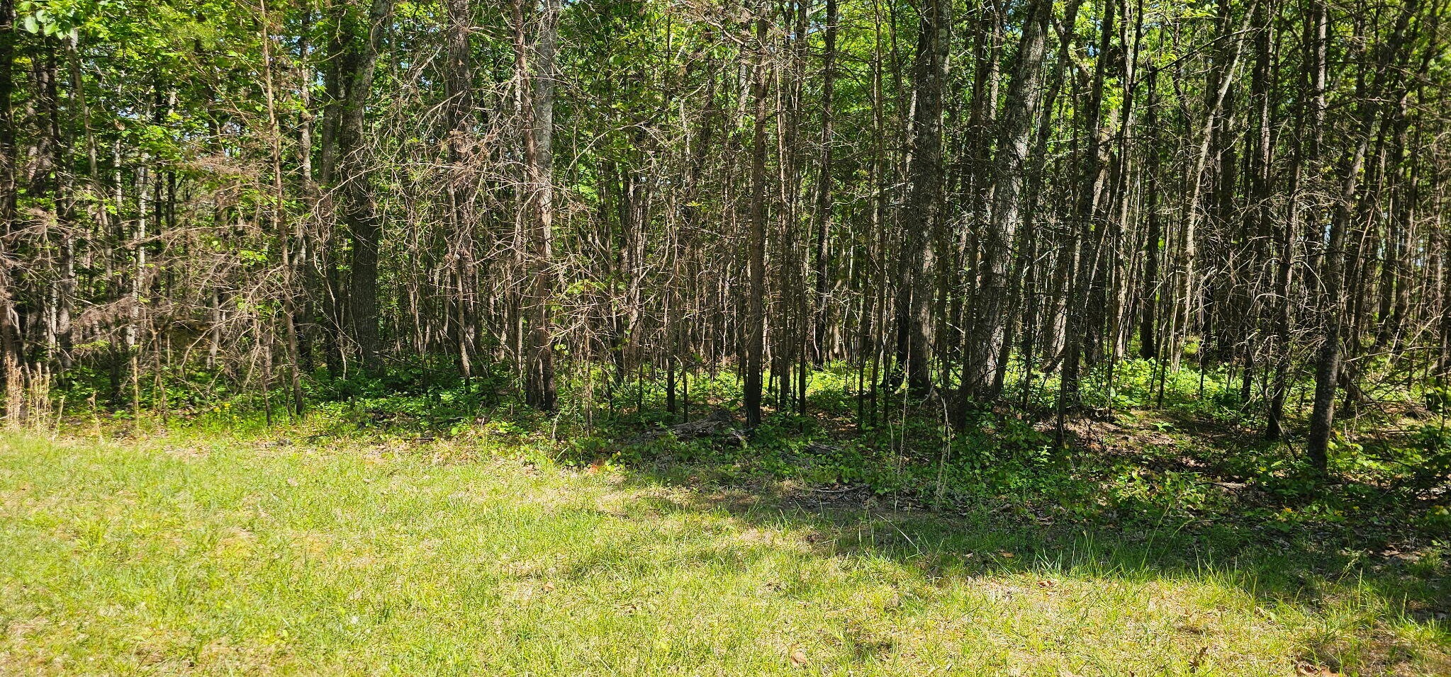 0 Bluffview Drive Dunlap TN 37327