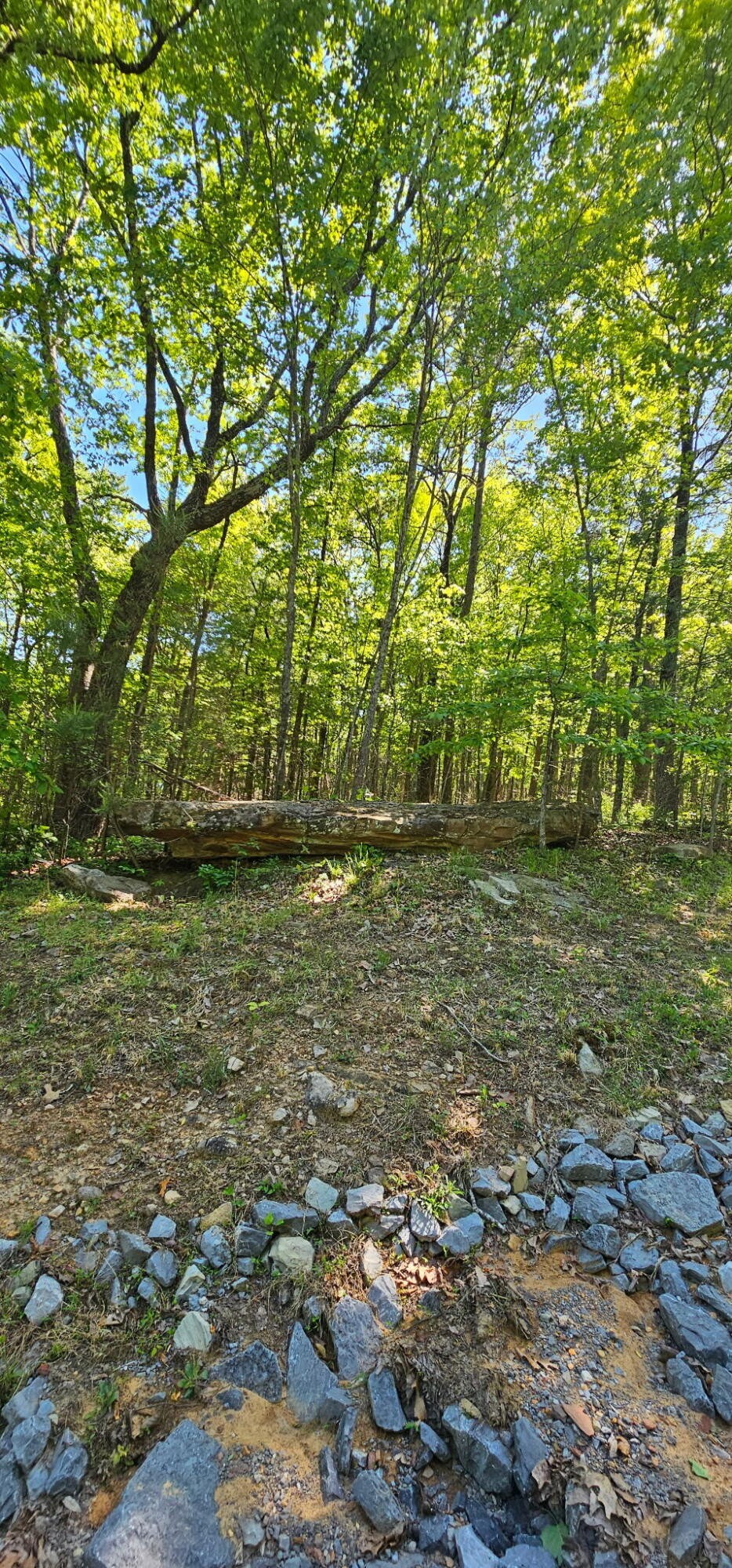 0 Bluffview Drive Dunlap TN 37327
