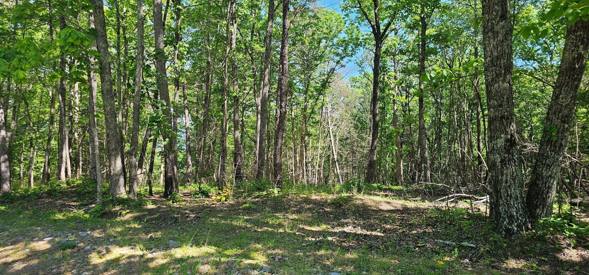 0 Bluffview Drive Dunlap TN 37327